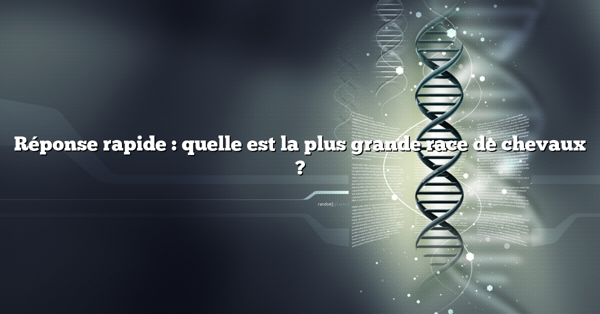 Réponse rapide : quelle est la plus grande race de chevaux ?